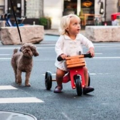 Caisse En Bois Pour Draisienne Kinderfeets® - Draisienne Accessoires 14 Caisse En Bois Pour Draisienne Kinderfeets® - Draisienne Accessoires -Jouets En Bois caisse en bois pour draisienne kinderfeets draisienne evolutive 4