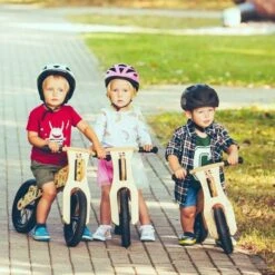 Draisienne En Bois Dip Dap® 10 Pouces 2 Ans Fox Mini Selle Verte - Draisienne Bois -Jouets En Bois draisienne dip dap 10 pouces 2 ans fox mini selle verte draisienne bois 6