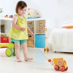 Hape Jouetà Trainer Herisson- Jouets Hape -Jouets En Bois hape jouet a trainer herisson jouets hape 2