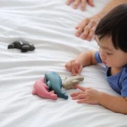 Jouets En Bois Planwood 4 Figurines Animaux De La Mer Plantoys® - Jouet Enfants -Jouets En Bois jouets en bois 4 figurines animaux de la mer plantoys jouet enfants 2