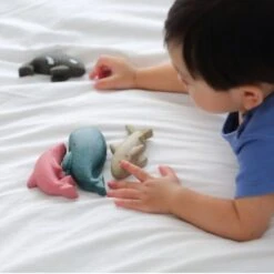 Jouets En Bois Planwood 4 Figurines Animaux De La Mer Plantoys® - Jouet Enfants -Jouets En Bois jouets en bois 4 figurines animaux de la mer plantoys jouet enfants 3