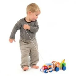 Petit Train En Bois à Traîner Safari Wonderworld® - Jouets En Bois -Jouets En Bois petit train en bois a trainer safari wonderworld jouets en bois 4