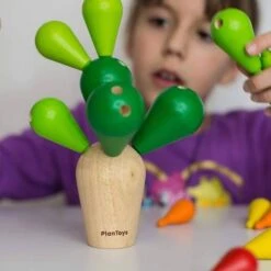 Plantoys Jeu Mikado Cactus - Jouet En Bois -Jouets En Bois plantoys jeu mikado cactus jouet en bois 2