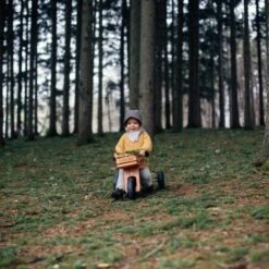 Tricycle évolutif Draisienne En Bois 2 En 1 Tiny Tot 10" Bambou Kinderfeets®- Draisienne 1 An -Jouets En Bois tricycle evolutif draisienne en bois 2 en 1 tiny tot 10 bambou kinderfeets 3