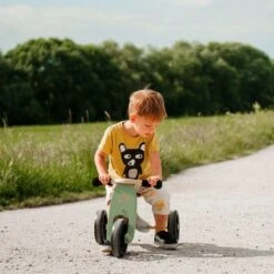 Tricycle évolutif Draisienne En Bois 2 En 1 Tiny Tot 10" Vert Kinderfeets® - Draisienne évolutive -Jouets En Bois tricycle evolutif draisienne en bois 2 en 1 tiny tot 10 vert kinderfeets draisienne evolutive 7